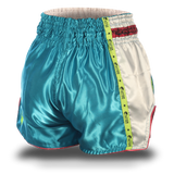 Aqua Blue Single Panel Stars Muay Thai Shorts